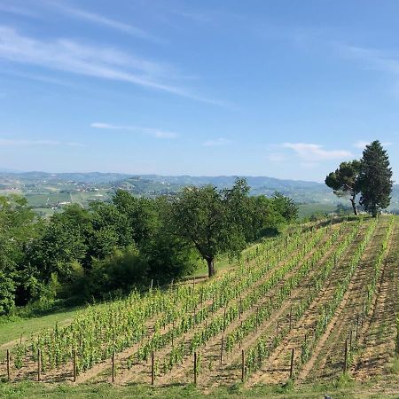コスティリオーレ・ダスティ Cascina San Michele Bed & Breakfast エクステリア 写真