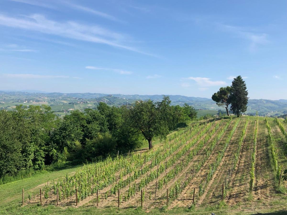 コスティリオーレ・ダスティ Cascina San Michele Bed & Breakfast エクステリア 写真