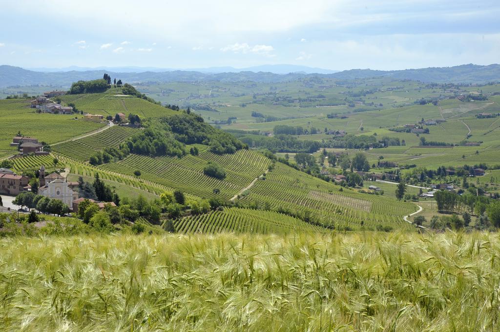 コスティリオーレ・ダスティ Cascina San Michele Bed & Breakfast エクステリア 写真
