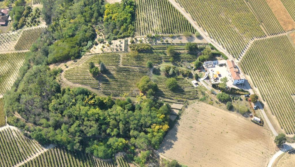 コスティリオーレ・ダスティ Cascina San Michele Bed & Breakfast エクステリア 写真